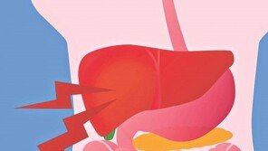 반가워서 한잔, 맛있어서 한입… “과음-폭식하면 肝이 힘들어요”
