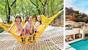 드래곤볼 만화에 보글보글 오락… 추억 체험 호캉스