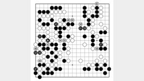 [바둑]알파고 vs 알파고 특선보… 다시 소용돌이에 빠지다