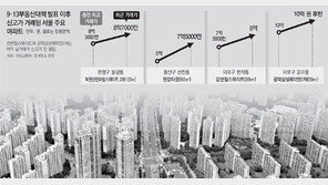 종부세 영향없는 10억이하 아파트 들썩… 강남은 호가 하락