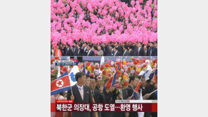 [남북정상회담]北주민들 ‘한반도기·인공기’ 들고 환영…이런 일 처음이라고?