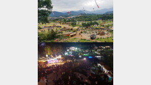 불로장생 함양산삼축제에 27만명 몰렸다…2020함양엑스포 성공 ‘청신호’