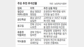 한과-흑삼-어간장… 추석 선물 어때요