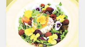 제철 나물과 신선한 과일 가득… 자연 ‘한끼’로 힐링하다 