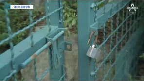 [퓨마 결국 사살]맹수 전문가 “뿔있는 초식동물이 외려 사람에 더 위험할수도”