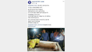 퓨마 결국 사살, 거센 후폭풍…동물권단체 “#동물원 가지 않기” 집단행동