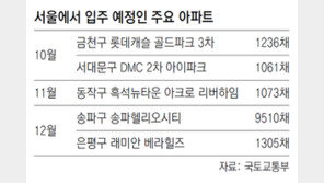 서울 연말까지 2만채 입주… 과열된 부동산시장 식힐까