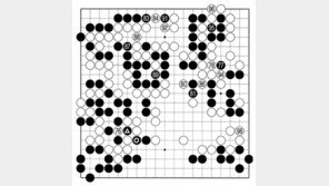[바둑]알파고 vs 알파고 특선보… 쥐어짜내는 팻감