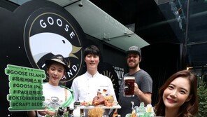 [동아토포]구스아일랜드 유쾌한 맥주 축제 ‘옥토버페스티벌’