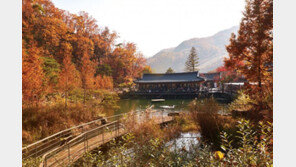 [Healing&]화담숲… 어느새 나의 마음이 빨개졌다