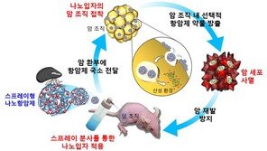 홍합 접착단백질 초미세입자…‘항암치료에 효과’