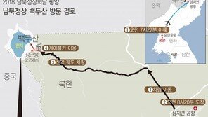 남북정상, 백두산 이어 한라산 방문?…靑 “매우 좋은 제안”