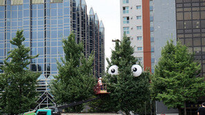  천덕꾸러기 ‘암은행나무’에 새 보금자리를 …‘2018 SBI 은행저축프로젝트’