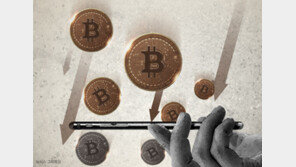 고객정보 해킹 46억원 상당 가상화폐 가로챈 조선족 등 검거