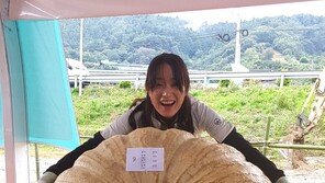 무게 265㎏·둘레 273cm…역대 최고 무게 호박 등장