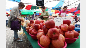 추석 상차림 20만~28만원선 소폭 올라…“물가 안정”