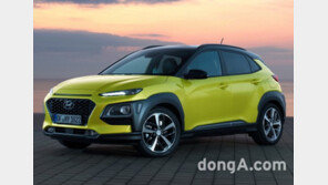 현대차, 美 ‘IDEA 디자인’ 역대 최고 등급 수상