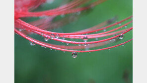 [날씨] 21일 전국 가을비…“추석 귀성 땐 대부분 그쳐요”