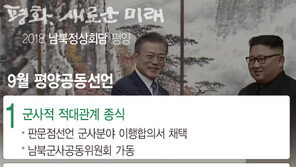 [일지]문재인 정부 출범 후 평양정상회담까지 남북관계