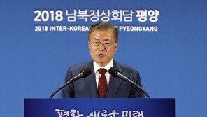 文대통령 “종전→평화협상→비핵화→평화협정·북미관계 정상화”