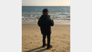 이병헌-이민정 부부 아들 사진 퍼지자…누리꾼 “초상권 침해” 