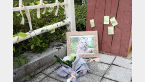 “퓨마야, 미안해”