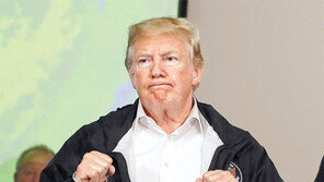 뉴욕서 비핵화 로드맵 큰 틀 논의… 빈에선 핵사찰 실무협상