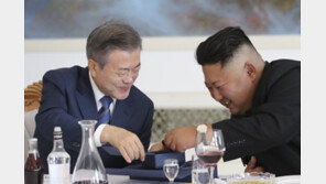 ‘신뢰·우정’ 보여준 문재인·김정은…남북 정상 대화 새 역사