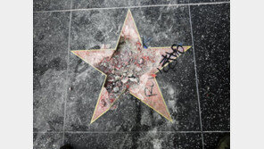 할리우드 ‘트럼프 별’ 또 수난…별 위에 철창 설치돼