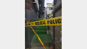 황혼에 재혼한 남편 잔혹 살해…50대 여성 징역 16년