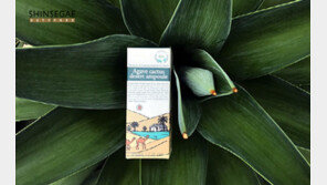  트리앤씨, 신세계 면세점과 구매금액별 프로모션 진행