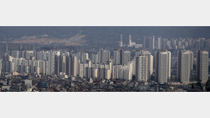 ‘9 ·13약발’ 서울아파트값, 상승세 둔화…0.35%↑