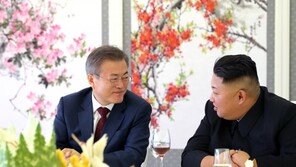 전여옥 “김정은 위원장, 전 재산 핵 포기? 어림 없어…文, 눈먼 사랑”