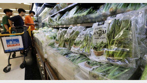 정부 “9월 농산물 가격 큰폭 하락…추석물가 안정세”