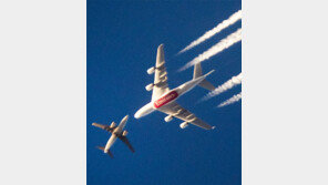 [고양이 눈]착시