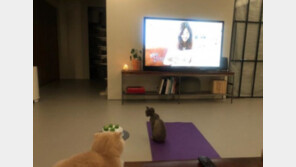 정려원, ‘나혼자산다’ 시청 인증…“반려묘들과 함께”