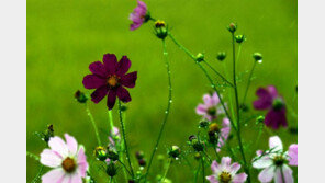 [날씨] 23일 중부·호남 비소식…충남 등은 대기질 ‘나쁨’