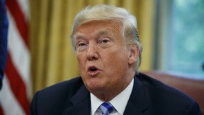 미국, ‘反트럼프’ 구글 등 독점금지법 위반 조사 대통령령 준비