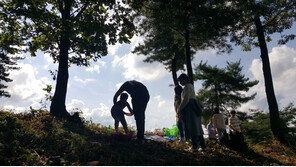 사라진 성묘 인파, 벌초도 대행업체에…조상 어떻게 기릴까