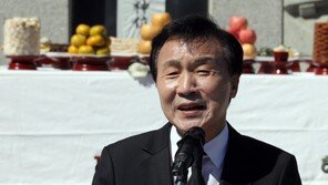 손학규 “한미정상회담, 매우 중요…한반도 평화에 급진전 있길”