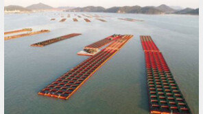 전남 완도 해상서 선박 기름 유출…확산 없이 방제 마쳐