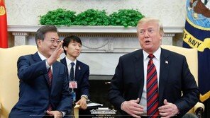 文대통령-트럼프 “한미FTA로 양국관계 발전·도약”