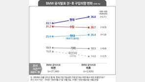 BMW 화재 이후 국내 車시장 어떻게 바뀌었나