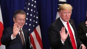 관심사 차이 확인한 한미 정상…文대통령 ‘북미 대화’, 트럼프 ‘FTA 개정’