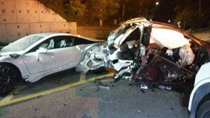 만취 20대 동갑내기 고가 스포츠카로 음주 질주하다 ‘쾅’