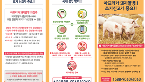 추석 이후 아프리카돼지열병 최대 ‘고비’…국경검역 강화