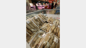 2년간 83% ‘껑충’…내릴 줄 모르는 오징어 가격