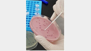 대구 로타바이러스 감염 신생아 14명으로 늘어