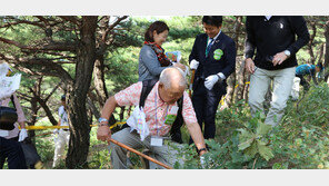 춘천 인형극제-양양 송이축제 28일 개막