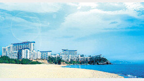 대명리조트, 창립기념일 맞아 특별회원권 분양 外